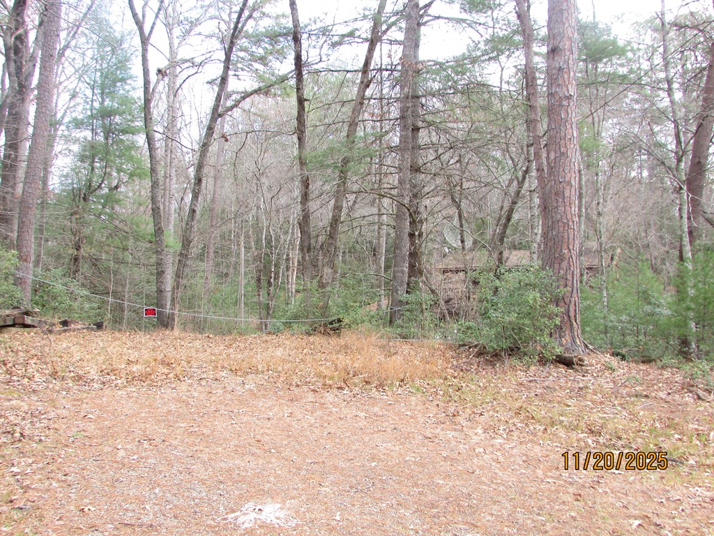 420561 Hayesville Residential