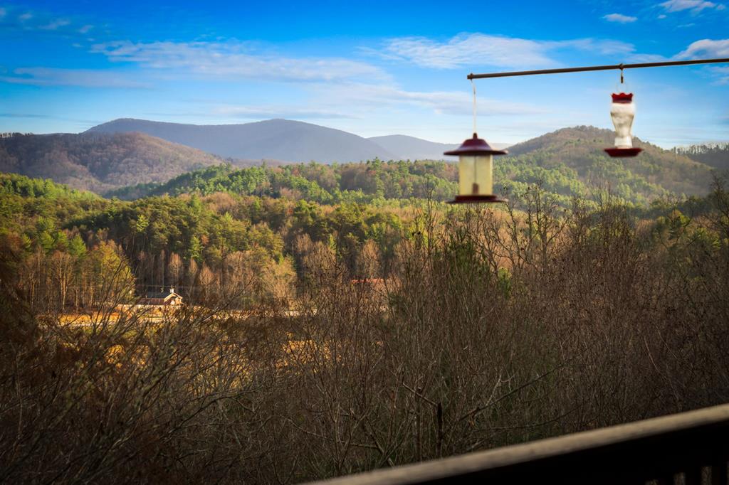 420562 Blue Ridge Residential