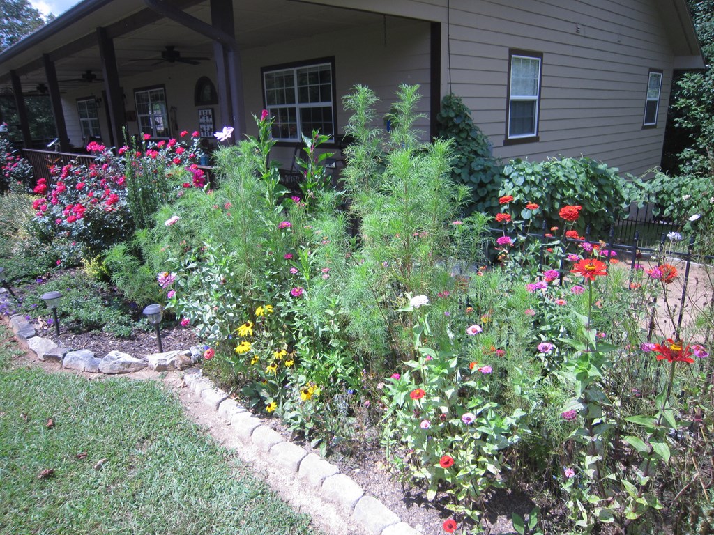 420570 Warne Residential