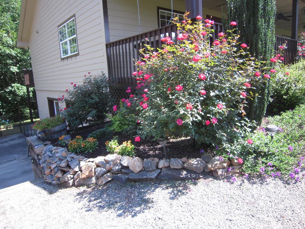 420570 Warne Residential