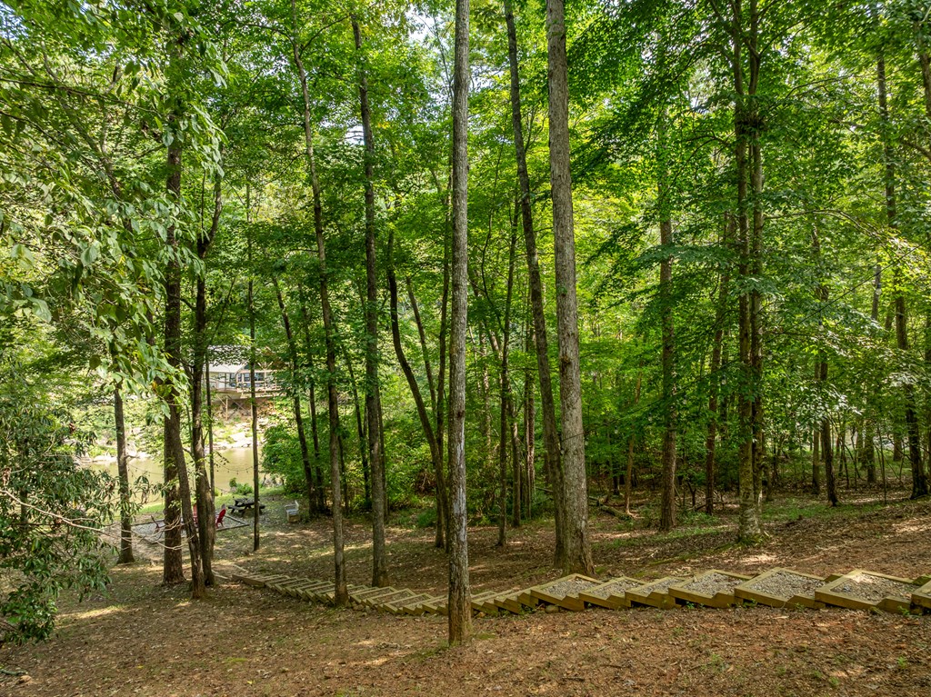 420575 Ellijay Residential