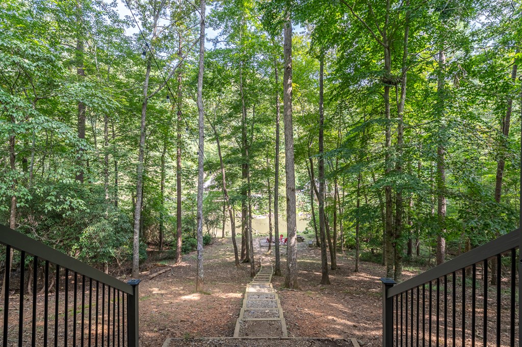 420575 Ellijay Residential