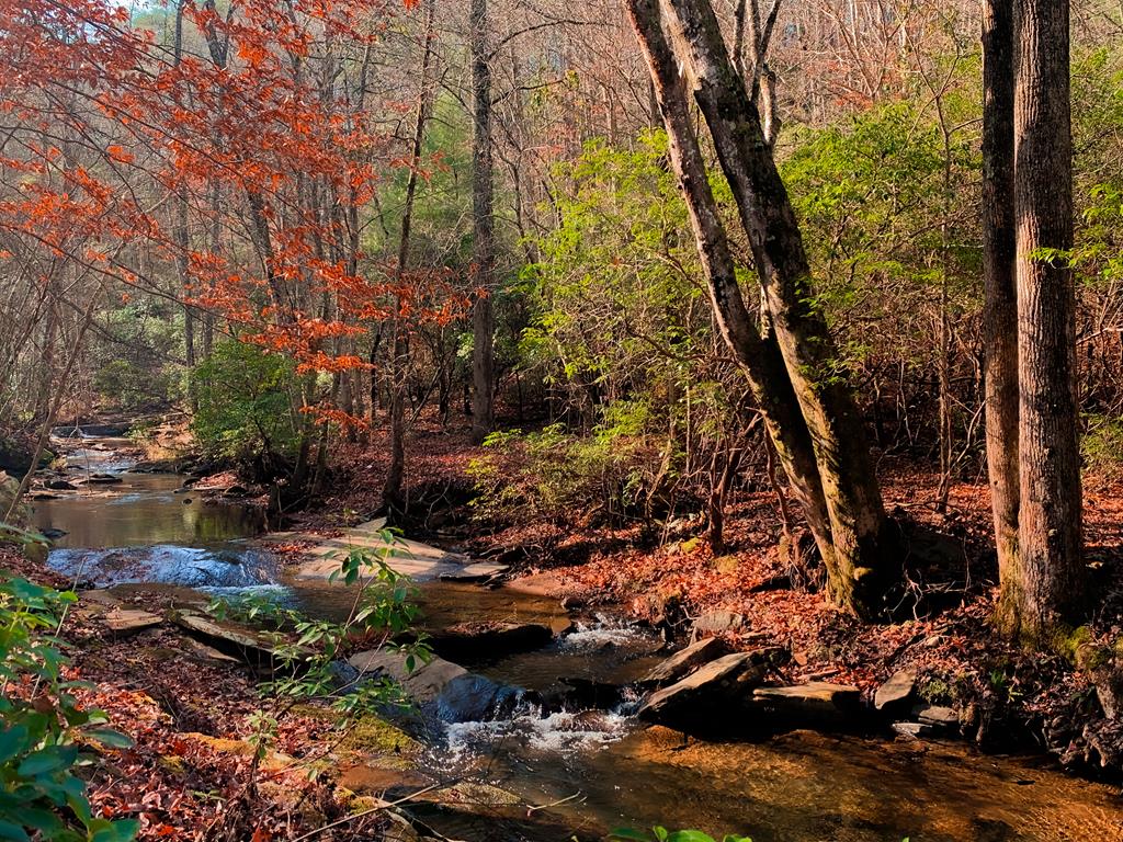 420585 Talking Rock Residential