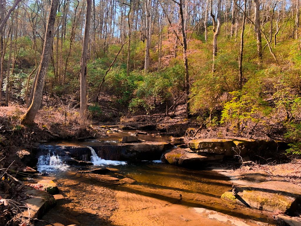 420585 Talking Rock Residential