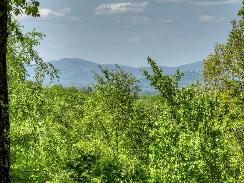 420598 Blue Ridge Residential