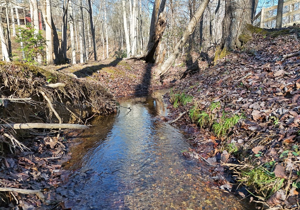 420643 Hayesville Residential