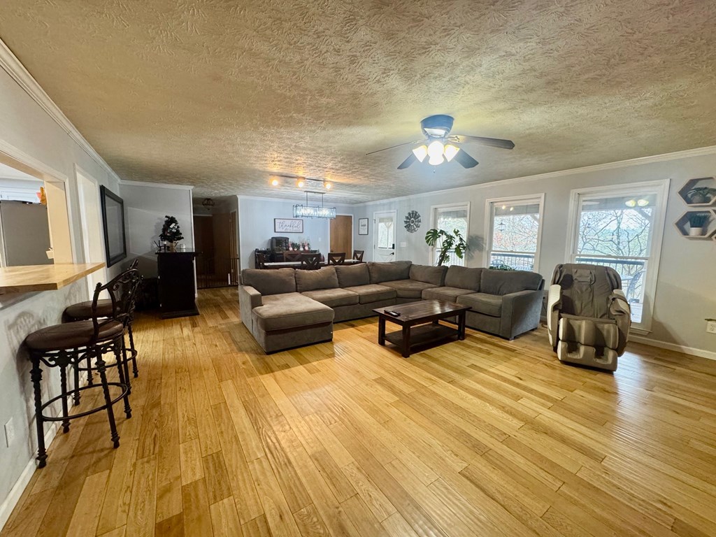 420654 Mineral Bluff Residential