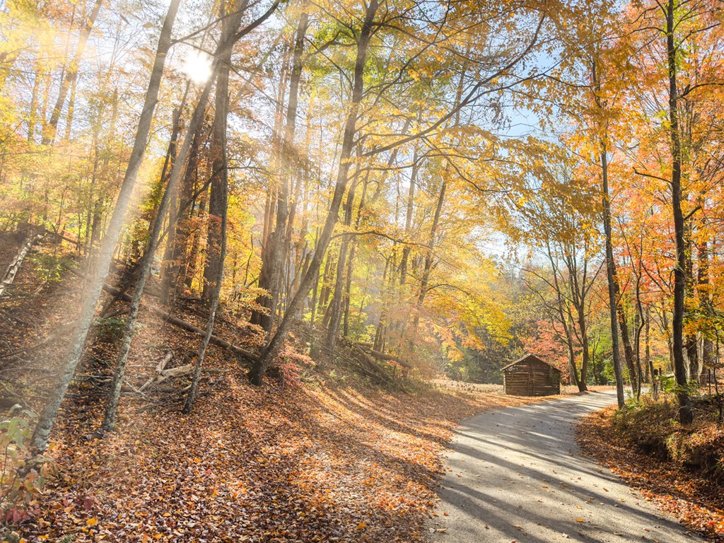 420660 Blue Ridge Residential