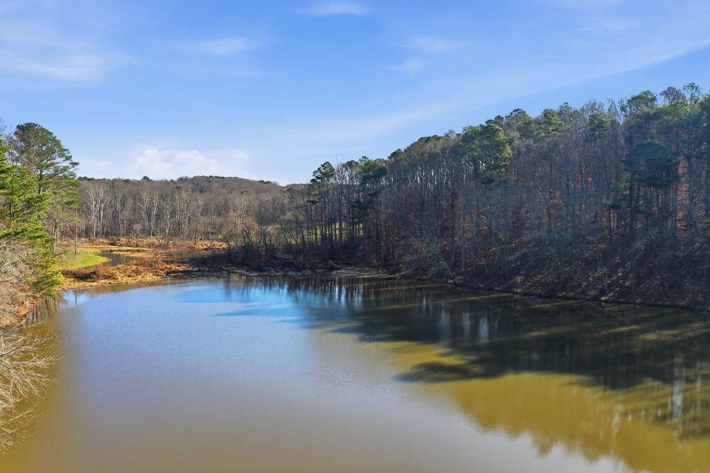 420665 Pickens Residential