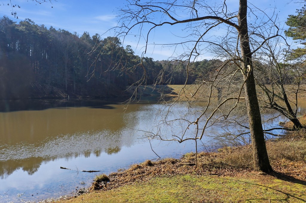 420665 Pickens Residential