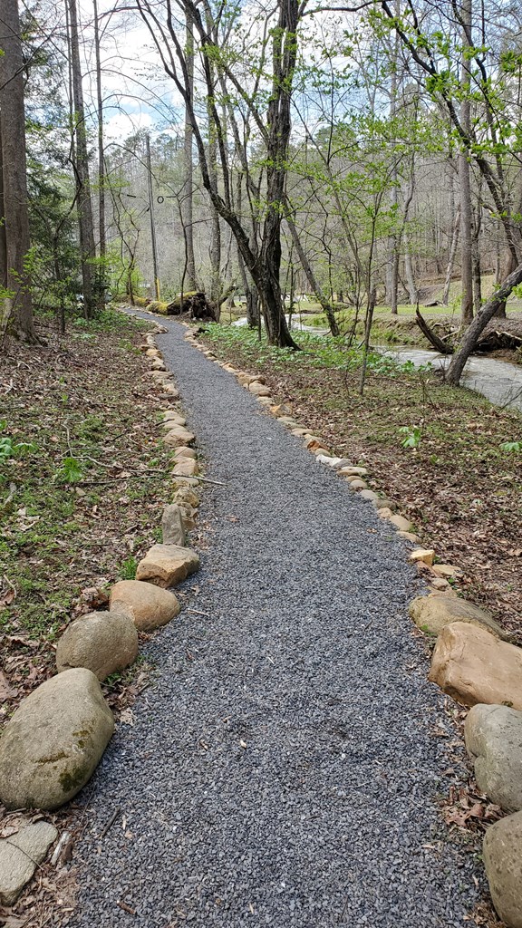 420667 Ellijay Residential