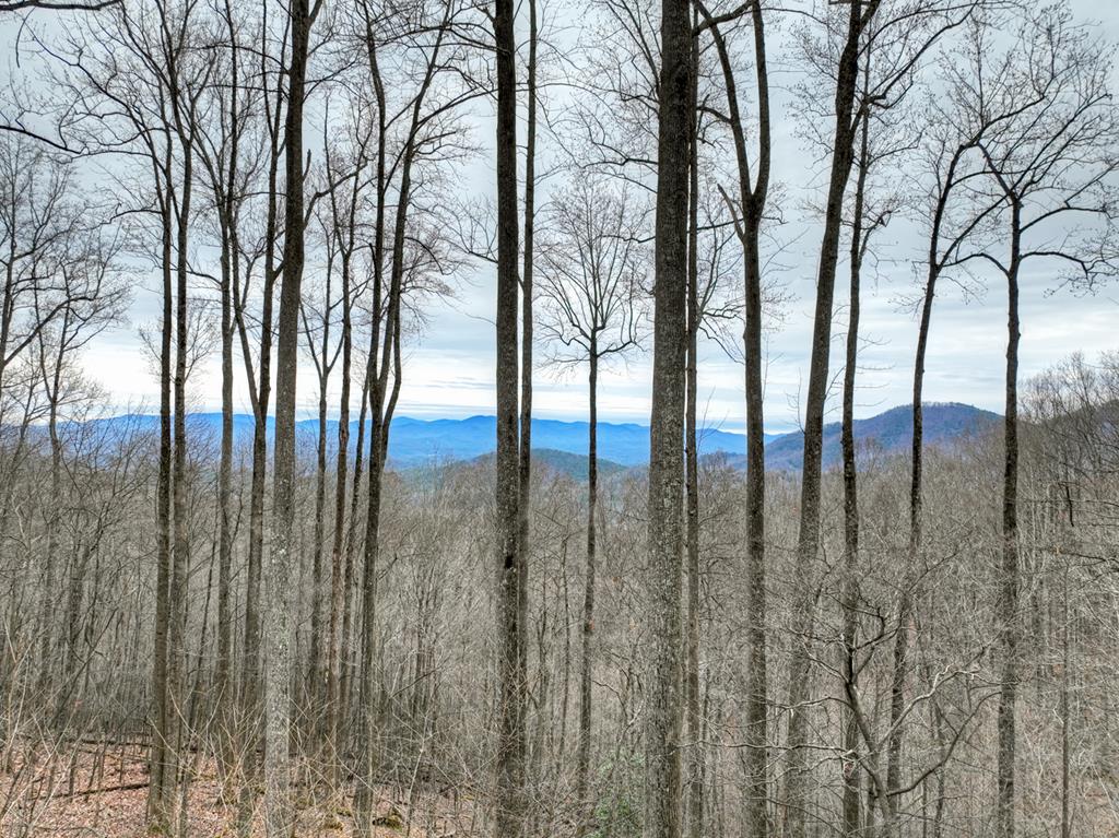 420669 Ellijay Residential