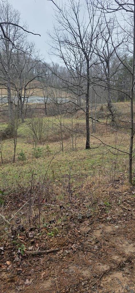 420671 Murphy Residential