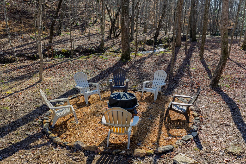 420687 Ellijay Residential