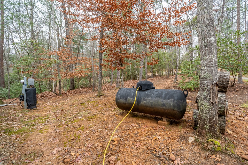 420706 Blairsville Residential