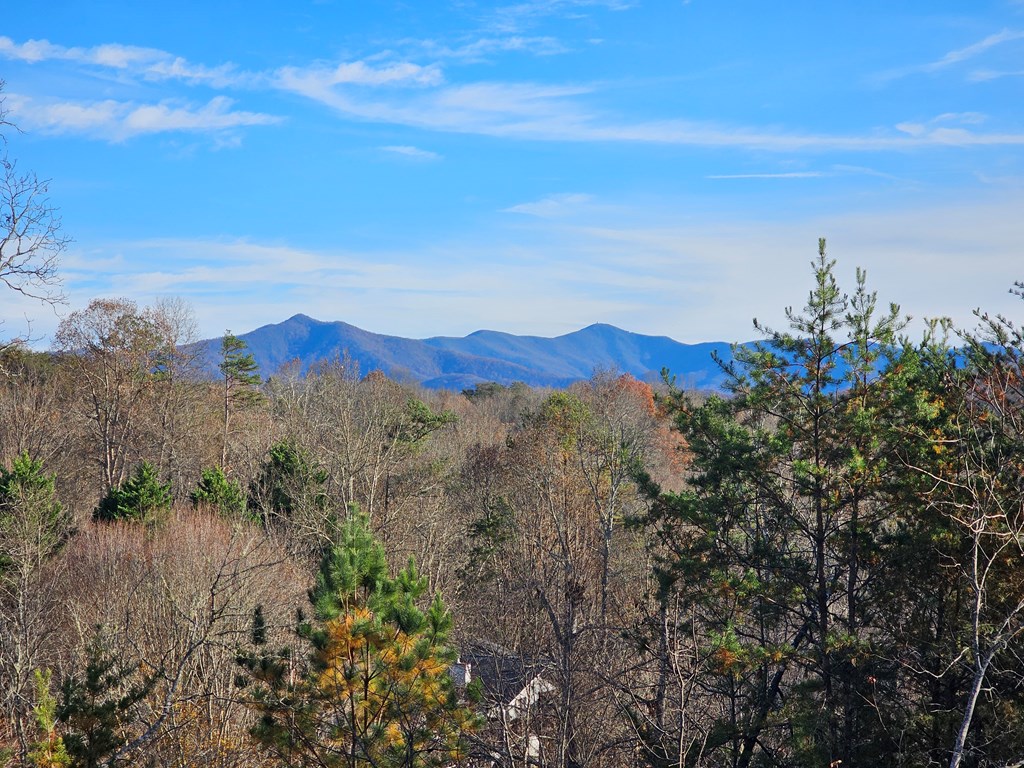 420707 Young Harris Residential