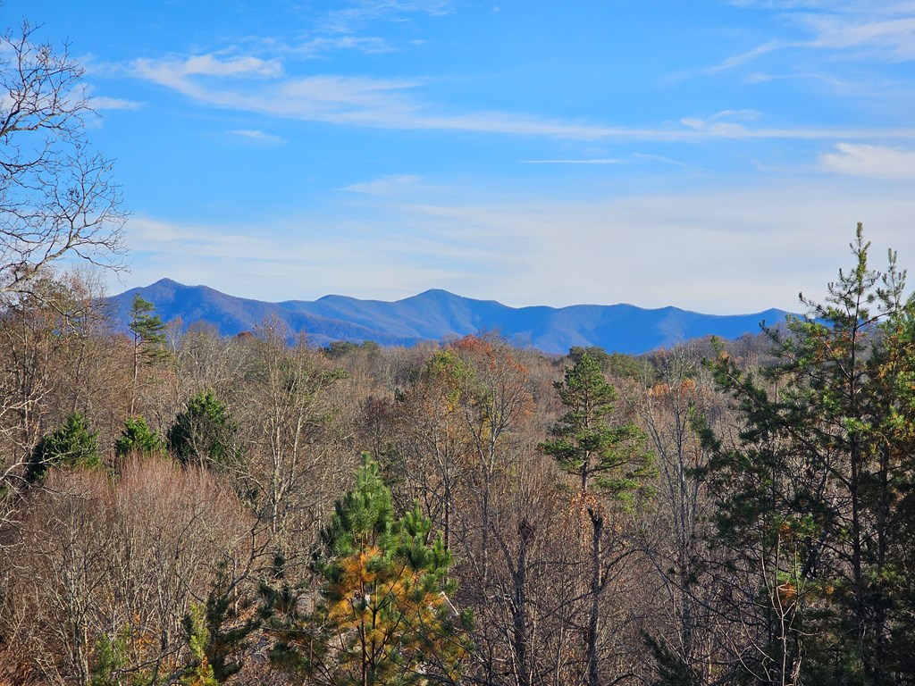 420707 Young Harris Residential