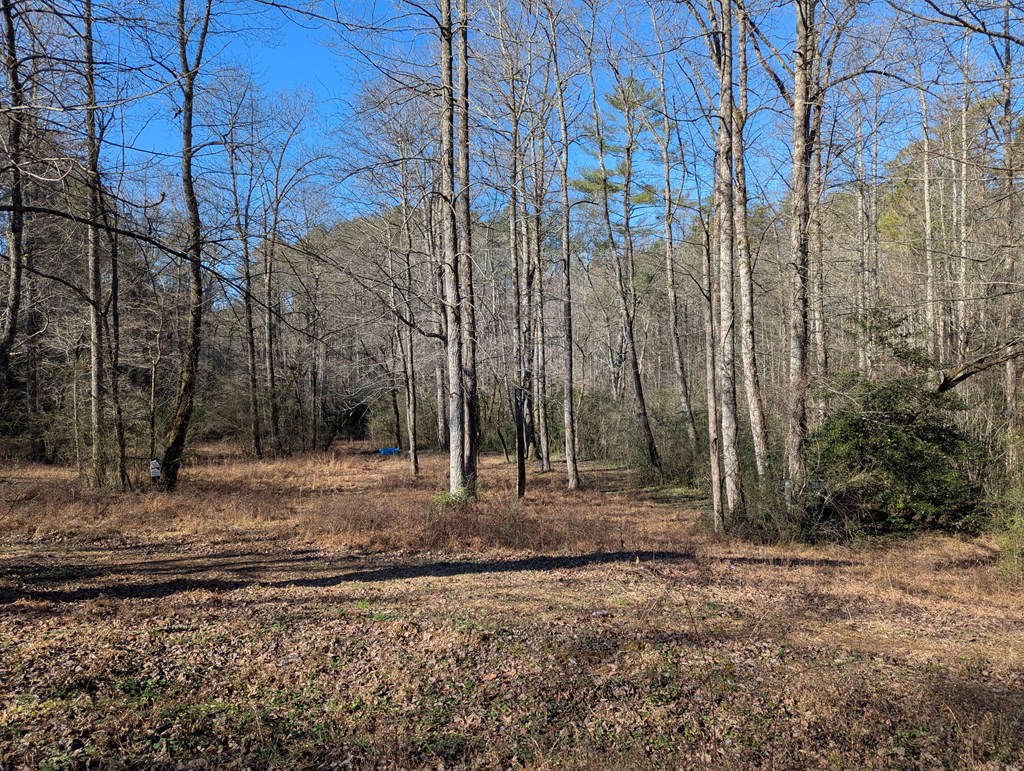 420712 Ellijay Residential