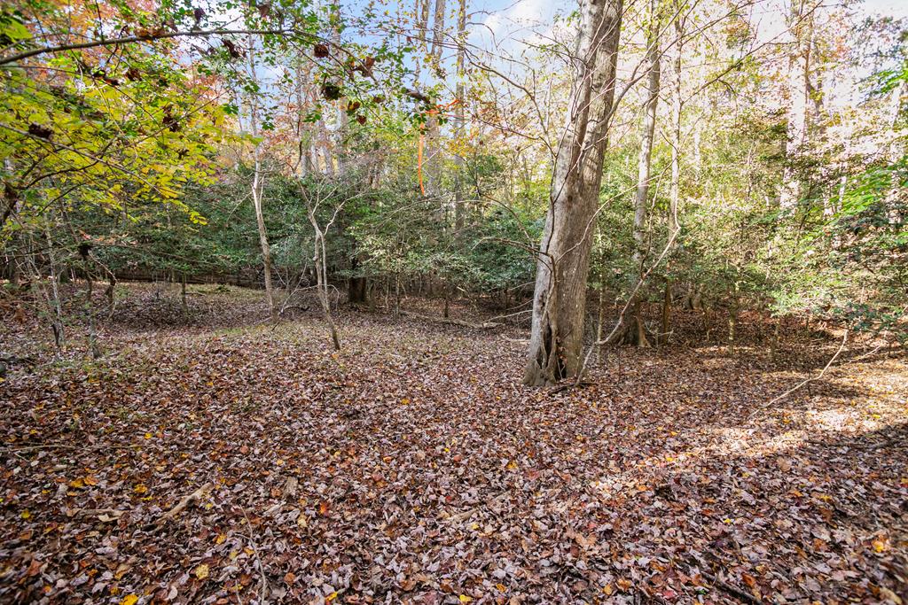 420714 Ellijay Residential