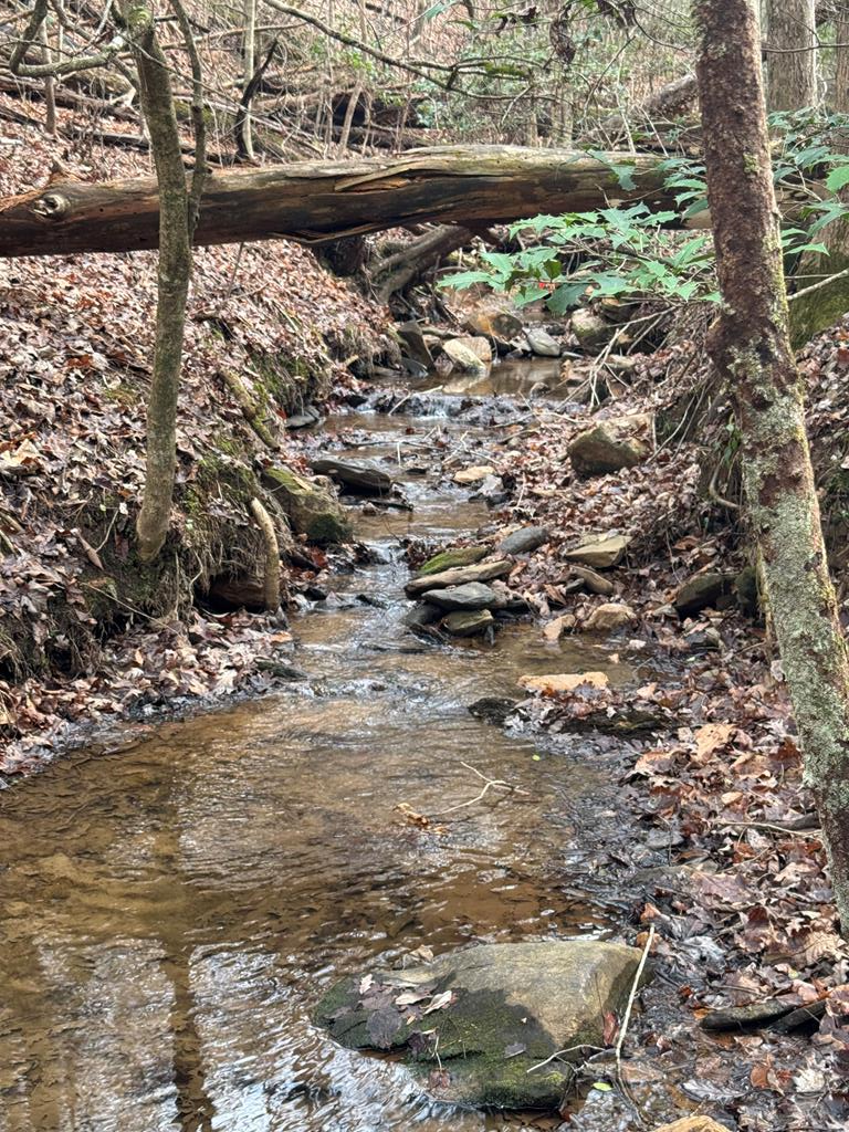 420714 Ellijay Residential