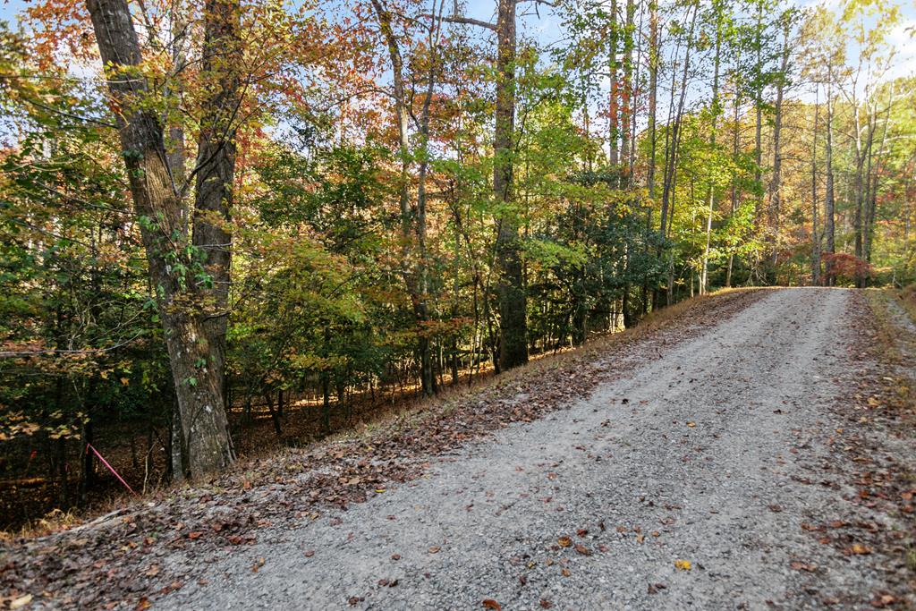 420714 Ellijay Residential