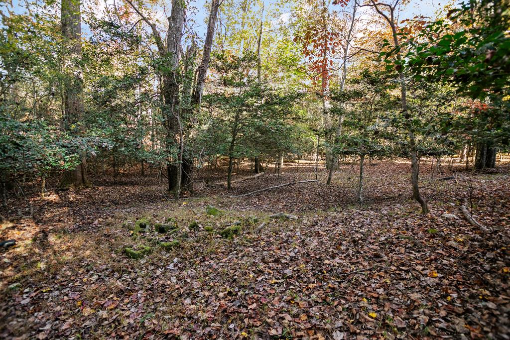 420714 Ellijay Residential