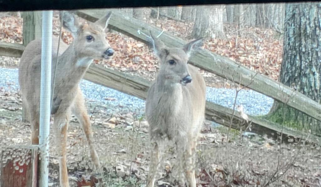 420734 Hayesville Residential