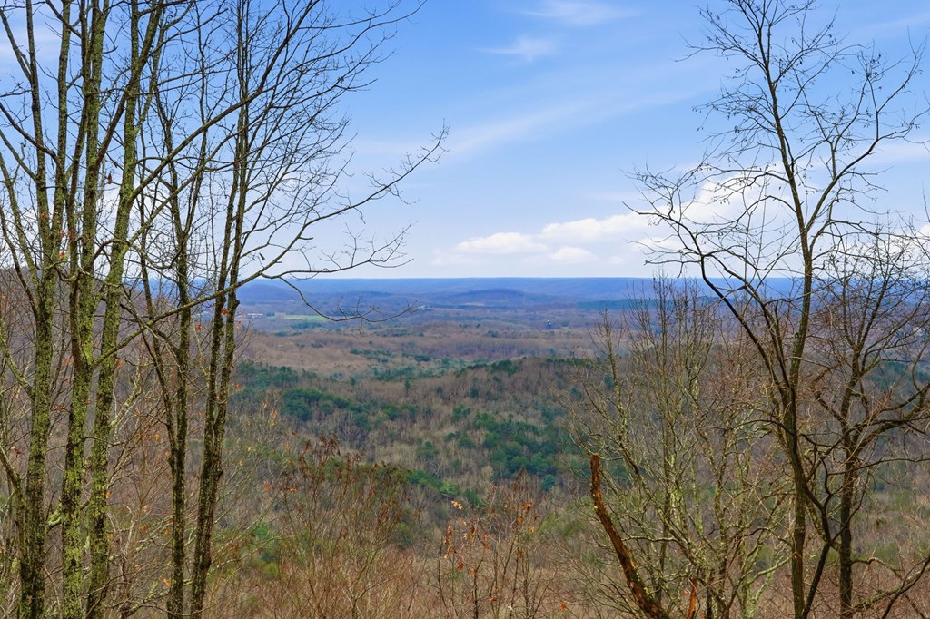 420747 Ellijay Residential