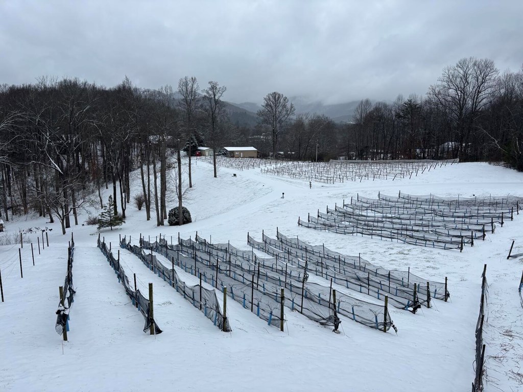 420748 Blairsville Residential