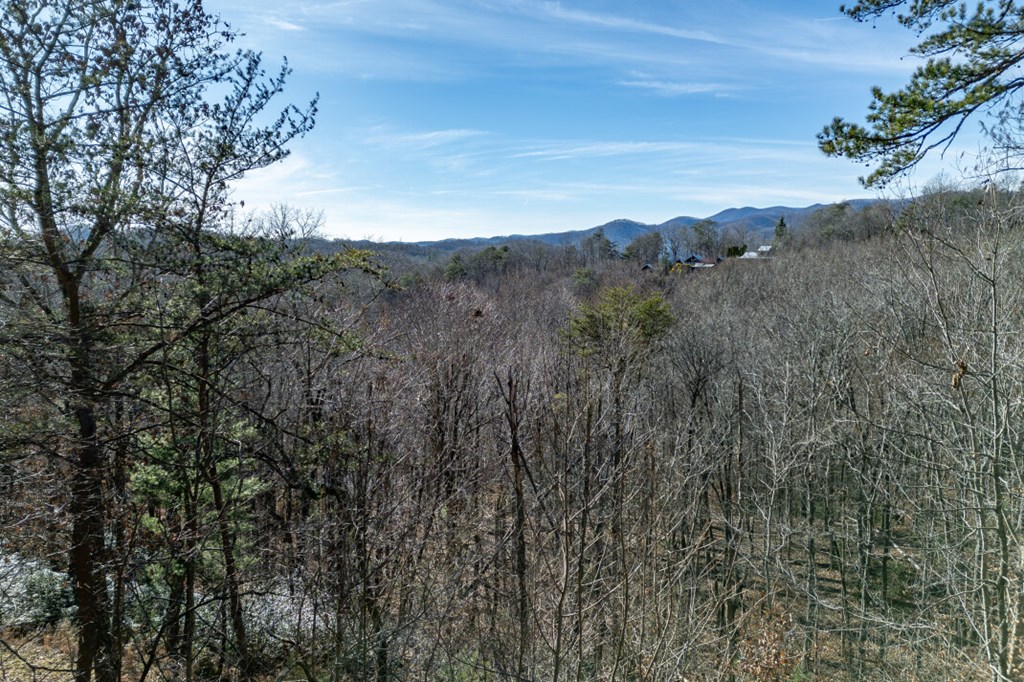 420763 Cherry Log Residential