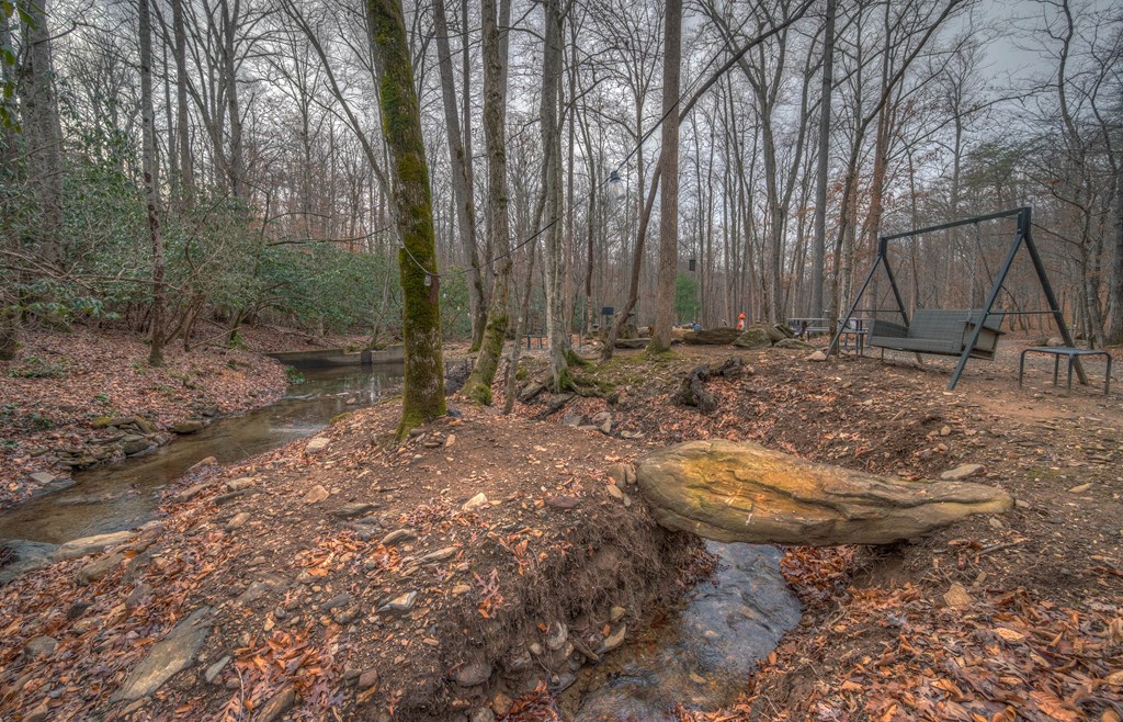 420771 Hiawassee Residential