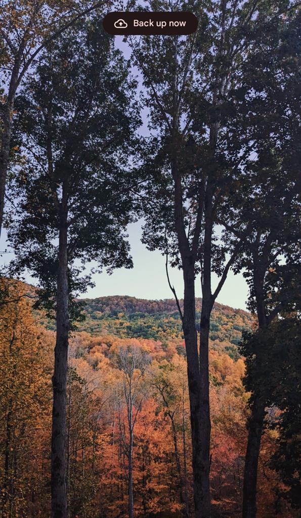 420771 Hiawassee Residential