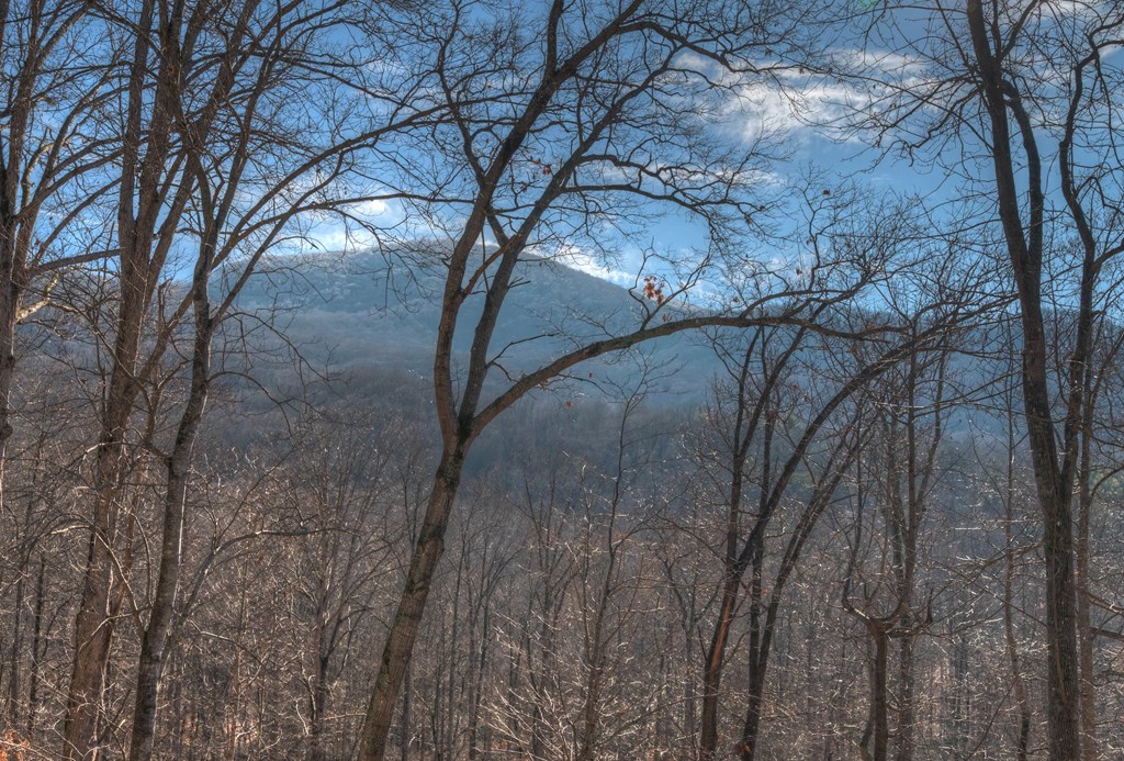 420771 Hiawassee Residential