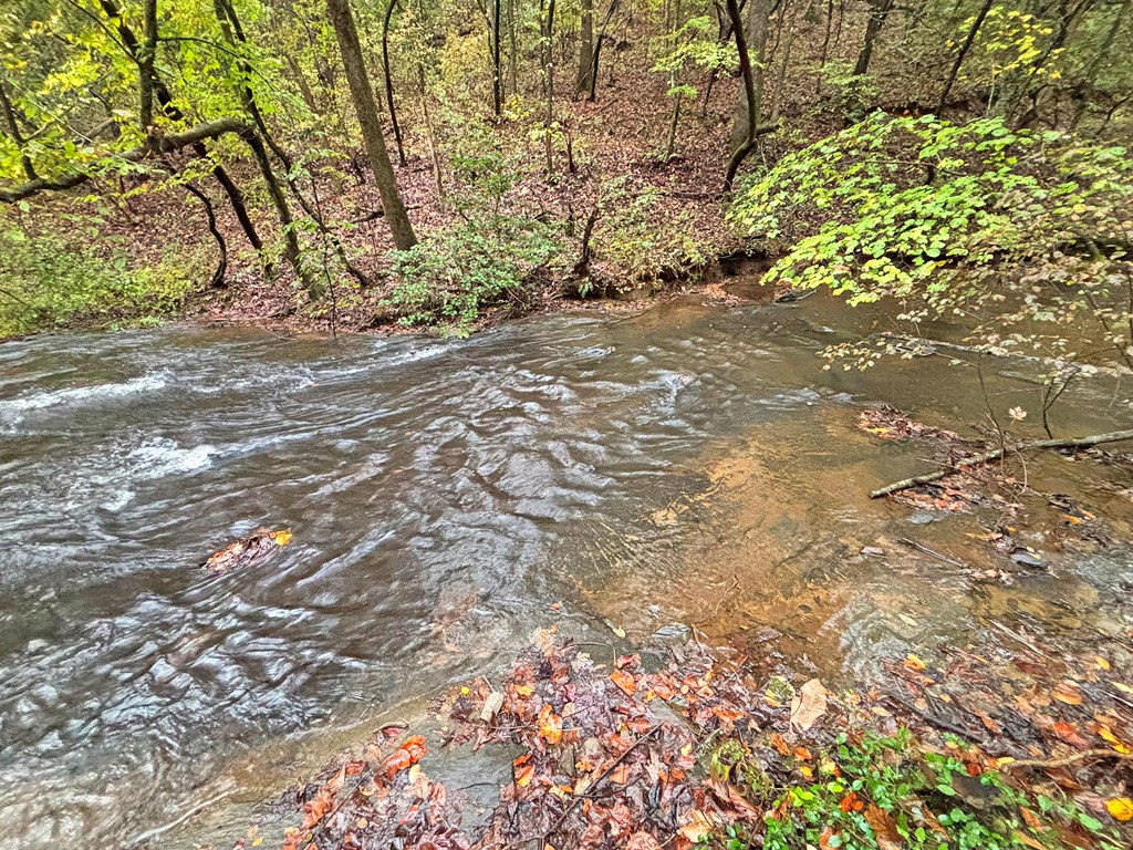 420773 Ellijay Residential