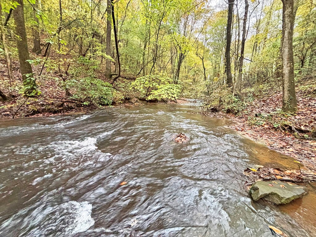 420773 Ellijay Residential