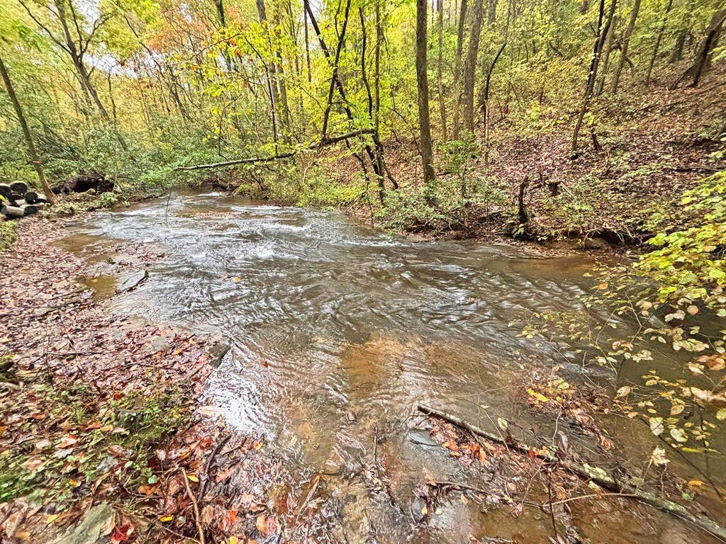 420773 Ellijay Residential