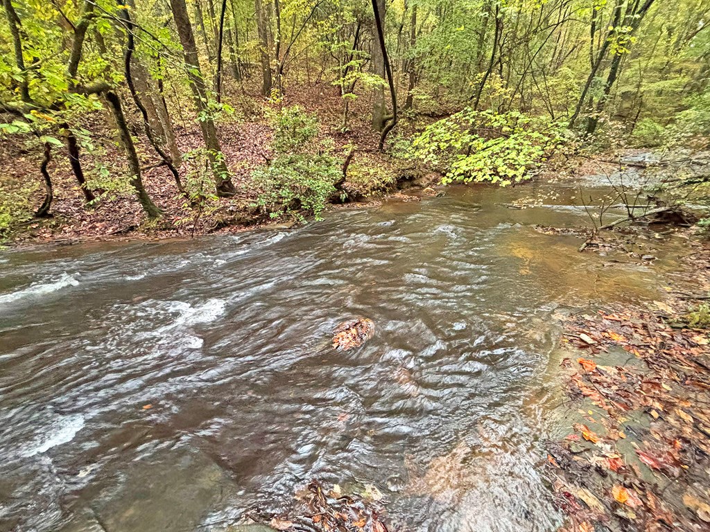 420773 Ellijay Residential