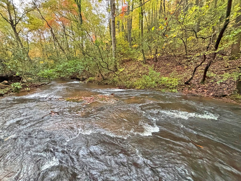 420773 Ellijay Residential