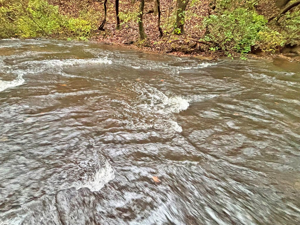 420773 Ellijay Residential