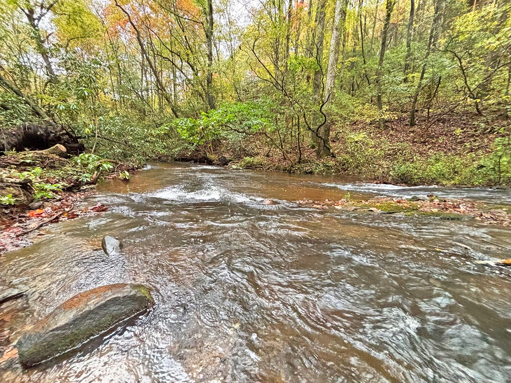 420773 Ellijay Residential