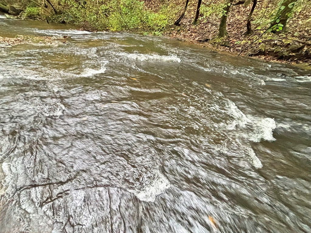 420773 Ellijay Residential