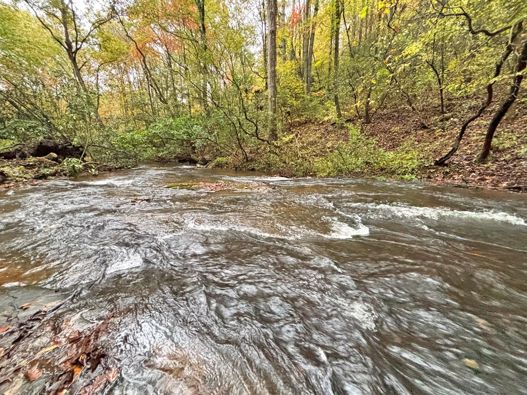 420773 Ellijay Residential