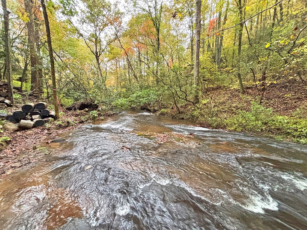 420773 Ellijay Residential