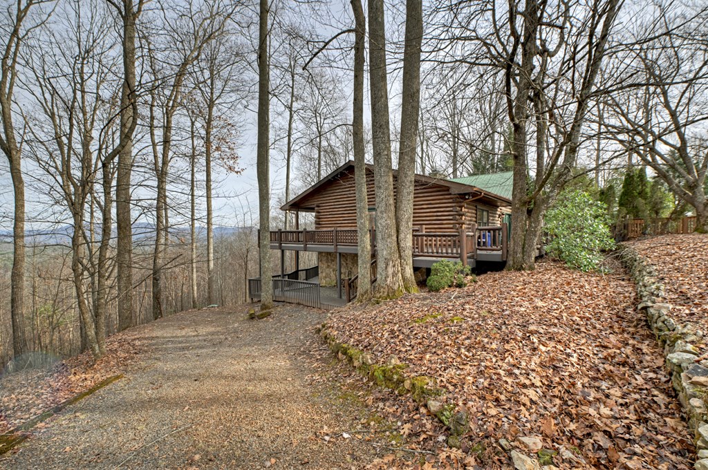 420785 Blue Ridge Residential