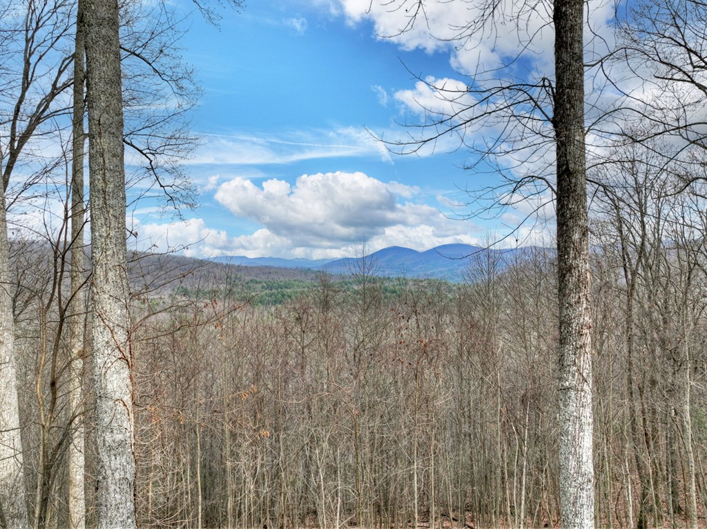 420785 Blue Ridge Residential