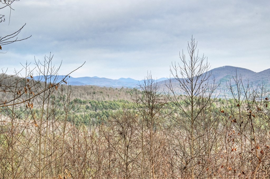 420785 Blue Ridge Residential