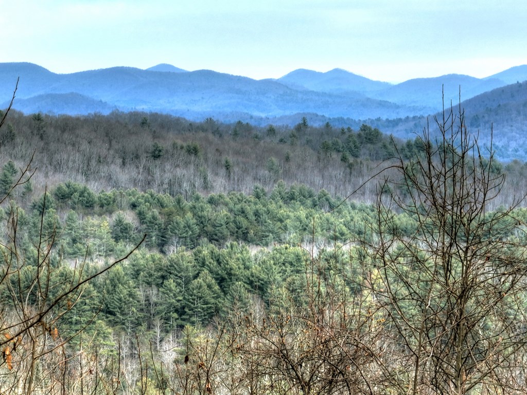 420785 Blue Ridge Residential