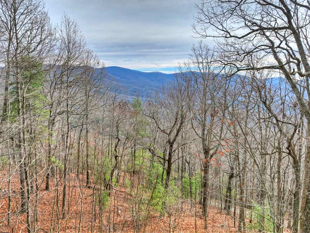 420785 Blue Ridge Residential