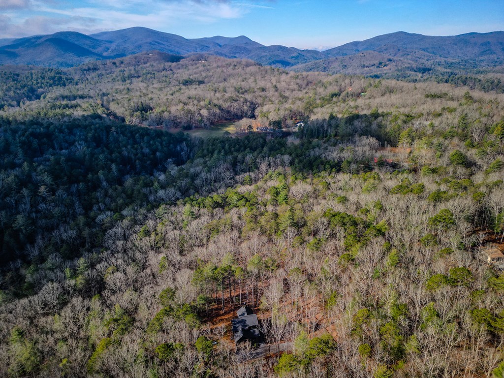 420786 Blue Ridge Residential