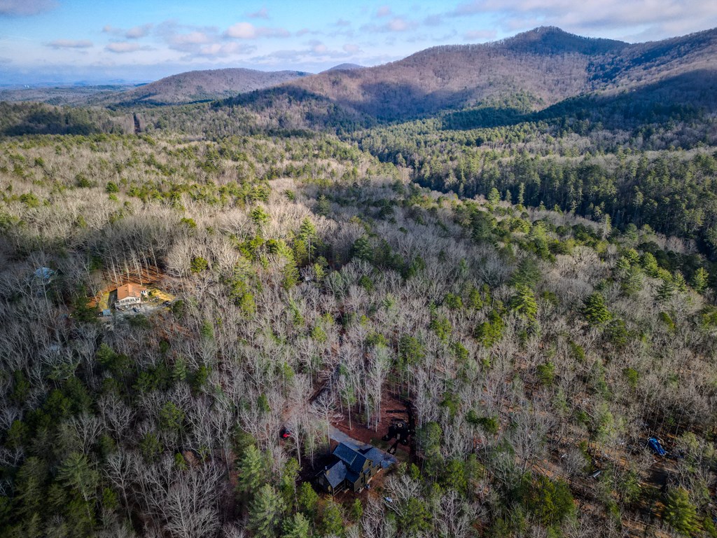 420786 Blue Ridge Residential